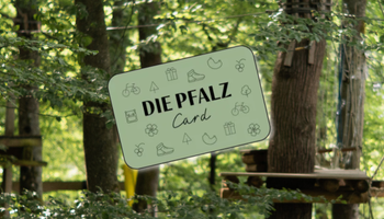 Pfalzcard